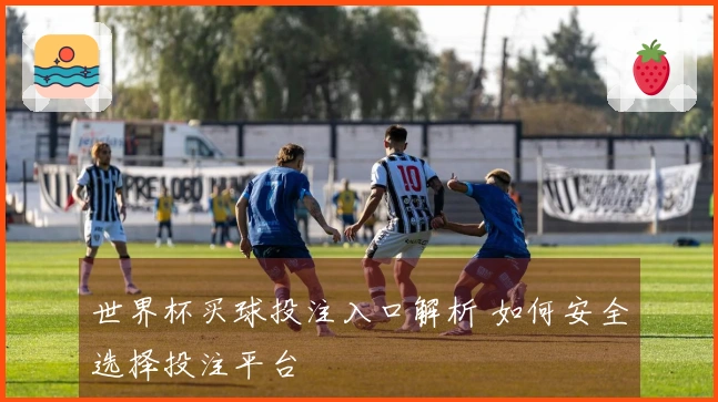 世界杯买球投注入口解析 如何安全选择投注平台