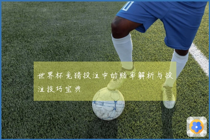 世界杯竞猜投注中的赔率解析与投注技巧宝典