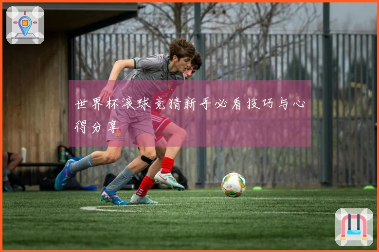 世界杯滚球竞猜新手必看技巧与心得分享