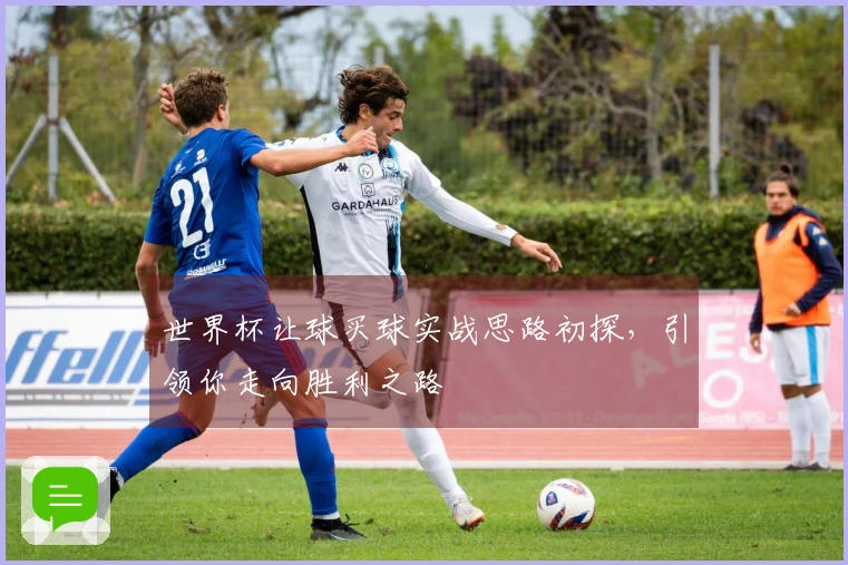 世界杯让球买球实战思路初探，引领你走向胜利之路