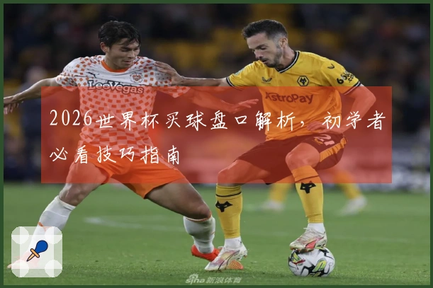 2026世界杯买球盘口解析，初学者必看技巧指南