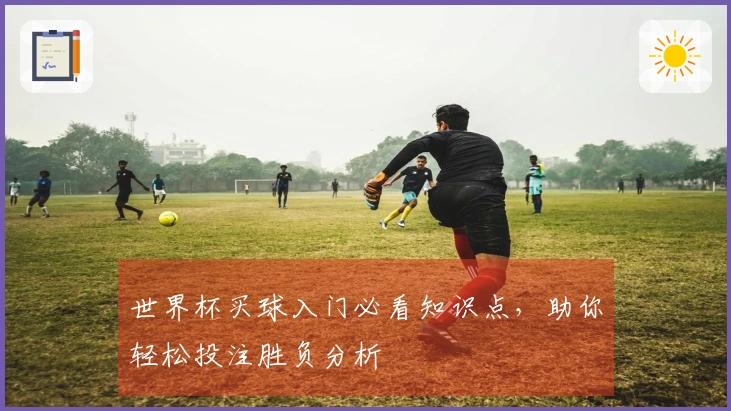 世界杯买球入门必看知识点，助你轻松投注胜负分析