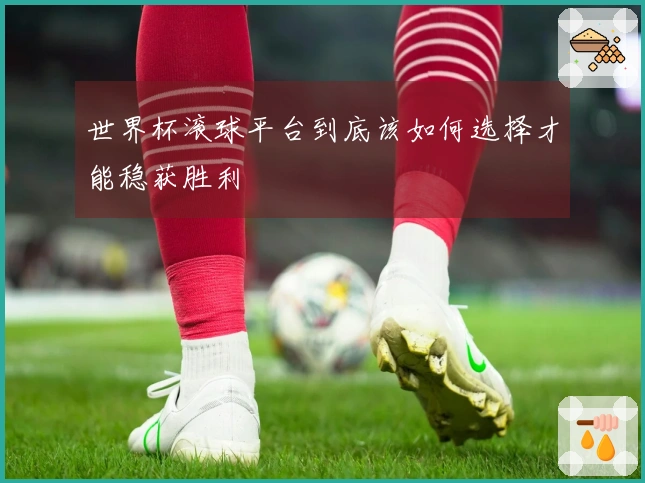 世界杯滚球平台到底该如何选择才能稳获胜利