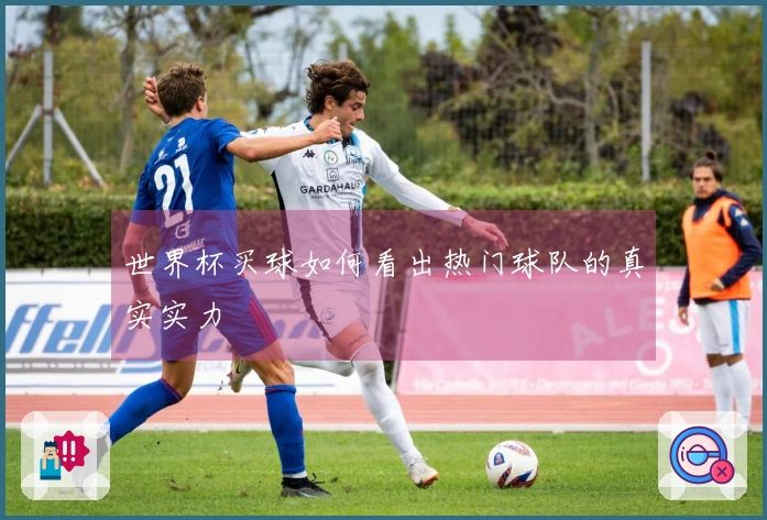 世界杯买球如何看出热门球队的真实实力