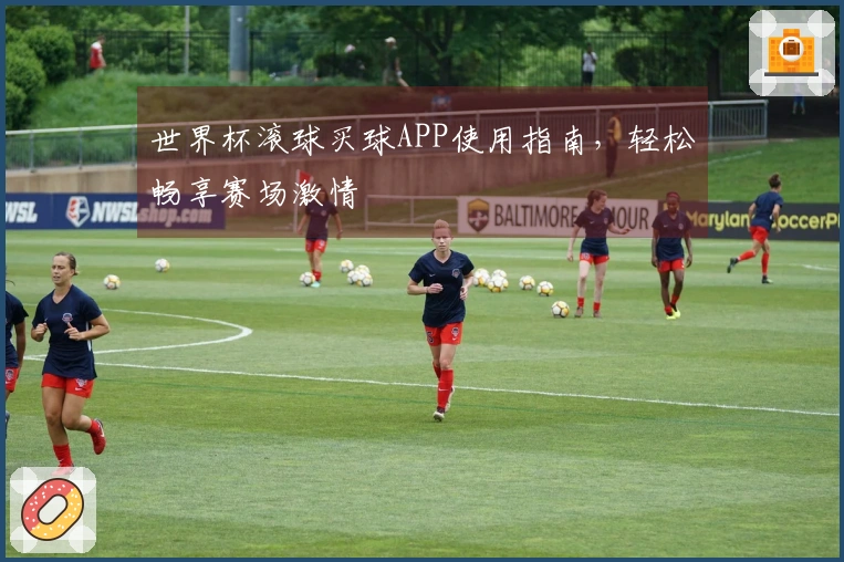 世界杯滚球买球APP使用指南，轻松畅享赛场激情