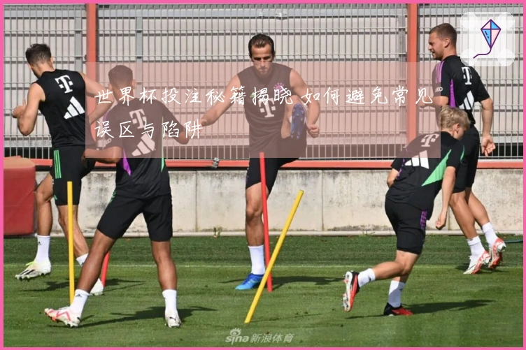 世界杯投注秘籍揭晓 如何避免常见误区与陷阱