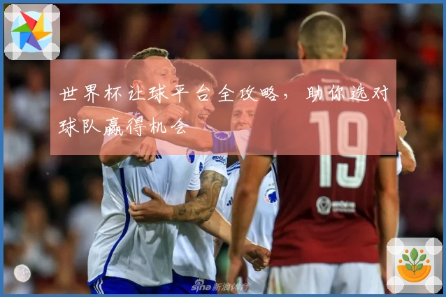 世界杯让球平台全攻略，助你选对球队赢得机会
