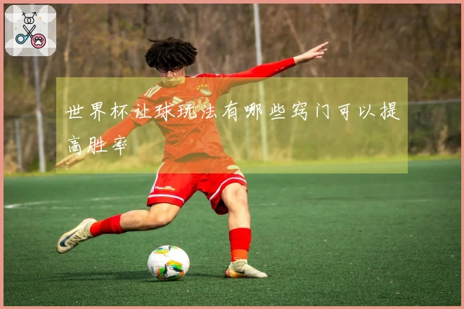 世界杯让球玩法有哪些窍门可以提高胜率