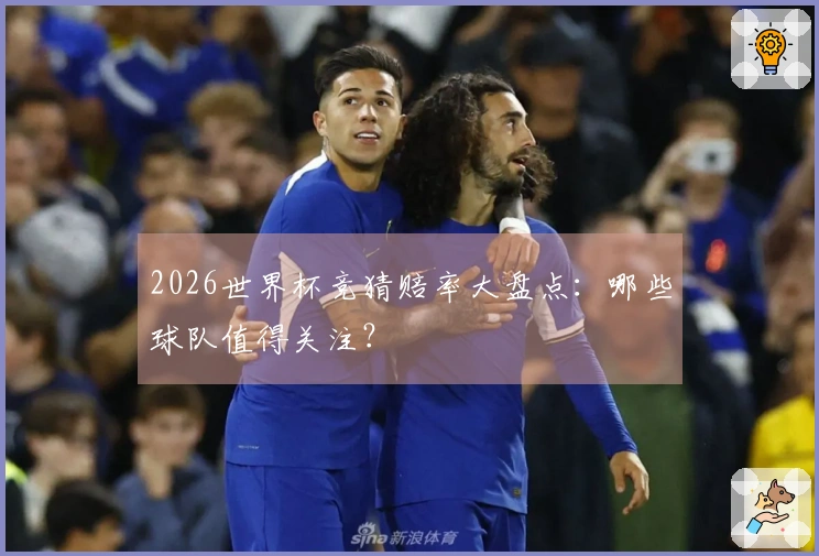 2026世界杯竞猜赔率大盘点：哪些球队值得关注？