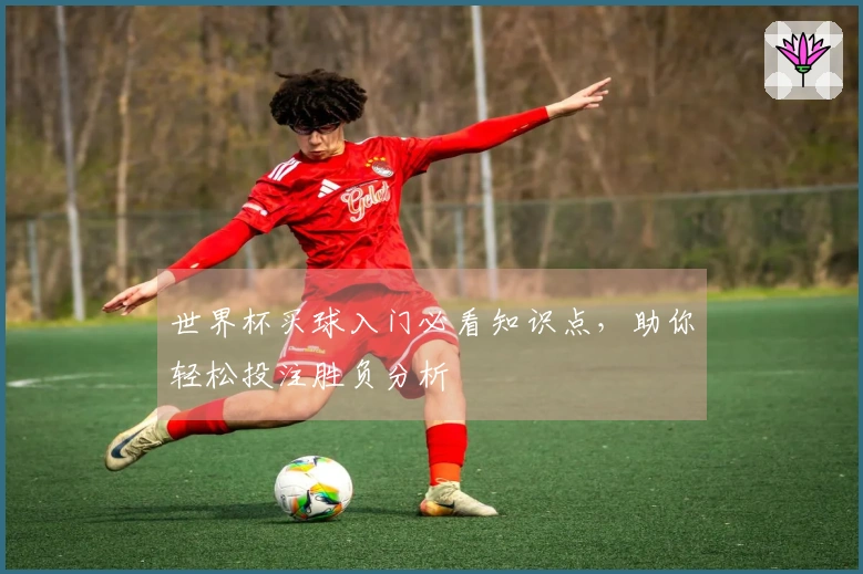 世界杯买球入门必看知识点，助你轻松投注胜负分析