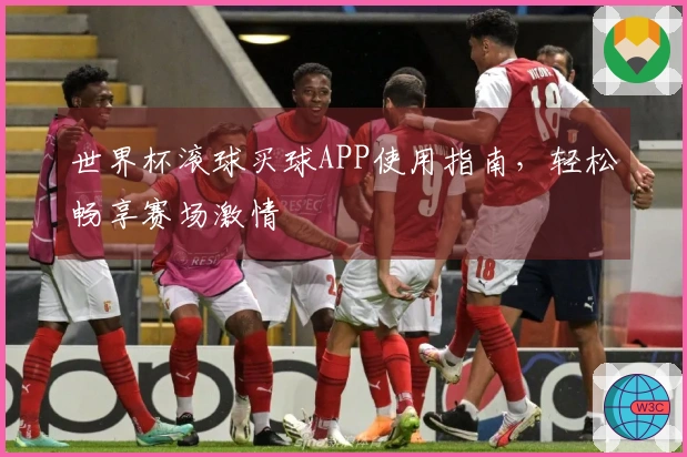 世界杯滚球买球APP使用指南，轻松畅享赛场激情