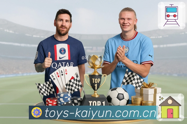 开云平台展示图